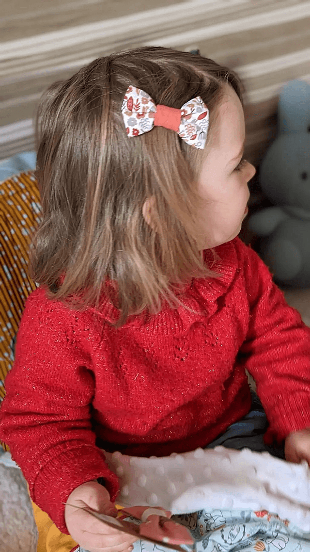 Barrette cheveux